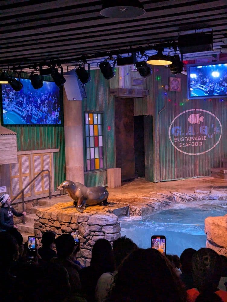 Georgia Aquarium